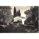 Grasse : au milieu d'oliviers et cypr�s, mas des environs (ref ib 1522)
