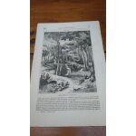 Gravure xixe. provenant du ; magasin pittoresque  ; , d�cembre 1835,  ; de l'alun. - paysage d'hack - ...