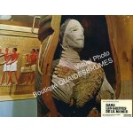 Dans les griffes de la momie (the mummy's shroud) : jeu de 12 photos d'exploitation cin�matographique ...