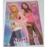 Hannah montana - 10x15cm - carte postale