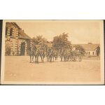 Le haras de saint - lo attelage a six. anglo - normands