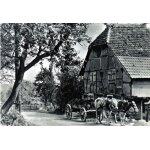 Helfrantzkirch , attelage , anim, le sundgau pittoresque