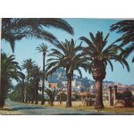 Hrault hyeres les palmiers l'avenue alexis godillot
