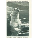 Image a collectionner ( bon point / bons points   la cordonnerie universelle   ) : parc zoologique du ...