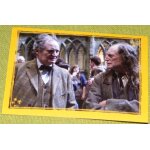 Image harry potter et le prince au sang ml n227