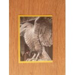 Image n108 panini les animaux fantastique les crimes de grindelwald et harry potter 2018 - 2019 - le ...