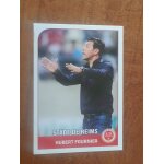 Image n314 panini foot 2012 2013 - hubert fournier - reims -
