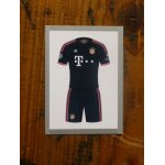 Image n366 panini foot champions league 2015 2016 - la tenue - bayern munich -