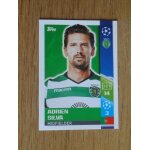 Image n493 panini foot champions league 2017 2018 - adrien silva - sporting du portugal - Image n493 panini foot champions league 2017 2018 - adrien silva - sporting du portugal -