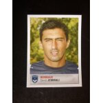 Image n55 panini foot 2007 - david jemmali - bordeaux -