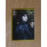 Image n92 panini les animaux fantastique les crimes de grindelwald et harry potter 2018 - 2019 - partie ...