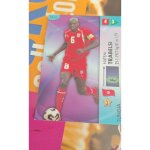 Image panini 2006 fifa world