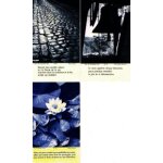 Images pieuses par 3 (remerciement)