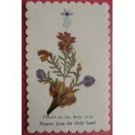 Image pieuse ancienne fleurs sches vers 1945  venez jsus. . .   ed b. l souvenir communion