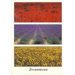 Images de provence : provence. photo : ph. caudron (ref 6197)