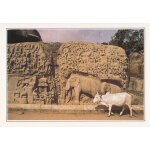 Inde,   bas - relief de la descente du gange a mahabalipuram  .