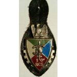 Insigne 10 rgiment commandement soutien