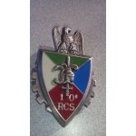 Insigne 10 eme rgiment de commandement et soutien delsart