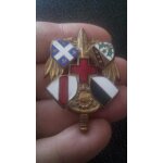 Insigne 6ème sim section infirmier militaire santé au armée Insigne 6ème sim section infirmier militaire santé au armée