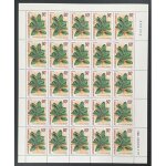 Cote d'ivoire 1980 yt 528 planche sheet ficus elastica abidjan flore plante pflanze flora plant
