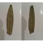 Jolie decoration feuille laurier du 18 - 19 eme detecting find