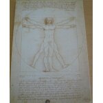 Leonardo de vinci - schema delle proporzioi del corpo umano - 10x15cm - carte postale