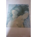 Lithographie de plisson
