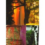 Lot de 11 cartes postales differentes / pour collection ou envoi / theme : paysages torrents et cascades ...