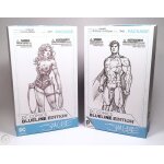 Lot 2 dc comics blueline edition by jim lee figurine (environ 17 cm) en emballage bote - fentre - comprend: ...