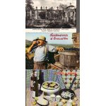 Lot de 3 cartes postales sur les vignobles gevrey chambertin et divers *