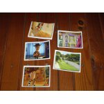 Lot de 5 autocollants toy story 3 panini Lot de 5 autocollants toy story 3 panini
