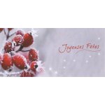 Lot de 5 cartes de voeux double volet