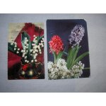 Lot deux cartes postales anciennes neuves fleurs n 2