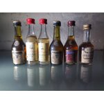 Lot de mignonnettes anciennes � cognacs martell & hennessy, calvados