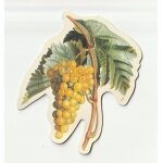 Magnet fruits & legumes - gift - raisins Magnet fruits & legumes - gift - raisins