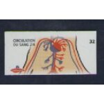Magnet n 32 circulation du sang - il etait une fois la vie, le corps humain - collection le gaulois 2007 ...