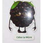 Magnet oasis les fruits n2 cébo la mûre Magnet oasis les fruits n2 cébo la mûre