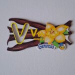 Magnet série fruit légume pochoir danone gervais alphabet lettre v vanille Magnet série fruit légume pochoir danone gervais alphabet lettre v vanille