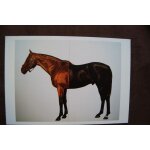 Mark wallinger . half brothers 1994 / 95 oil on canvas. two panels, overall 230x300 cm . courtesy anthony ...