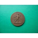 Mdaille bronze comptoir sulfate iguerande