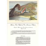 Menu / pan am / clipper class / pan american brazilian clipper 1934