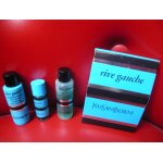 Miniatures y - s - l rive gauche