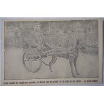 Mutil� du travail attelage de chien