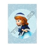 N 126 - image panini disney princesse sofia