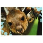 N 133 - stickers image panini bebes animaux calins