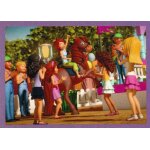 N 15 - stickers image panini lego friends