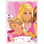 N? 169 - image panini barbie une journee fashion