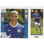 N 199 - stickers image panini vignette - foot fifa 365 2019 - harit