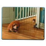 N 30 - stickers image panini disney pixar toy story 3 N 30 - stickers image panini disney pixar toy story 3