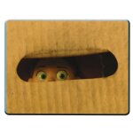 N 58 - stickers image panini disney pixar toy story 3